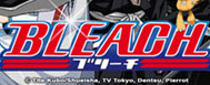 Bleach