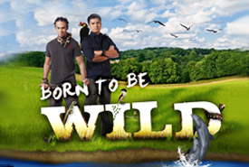 Born To Be Wild