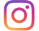 IG Icon