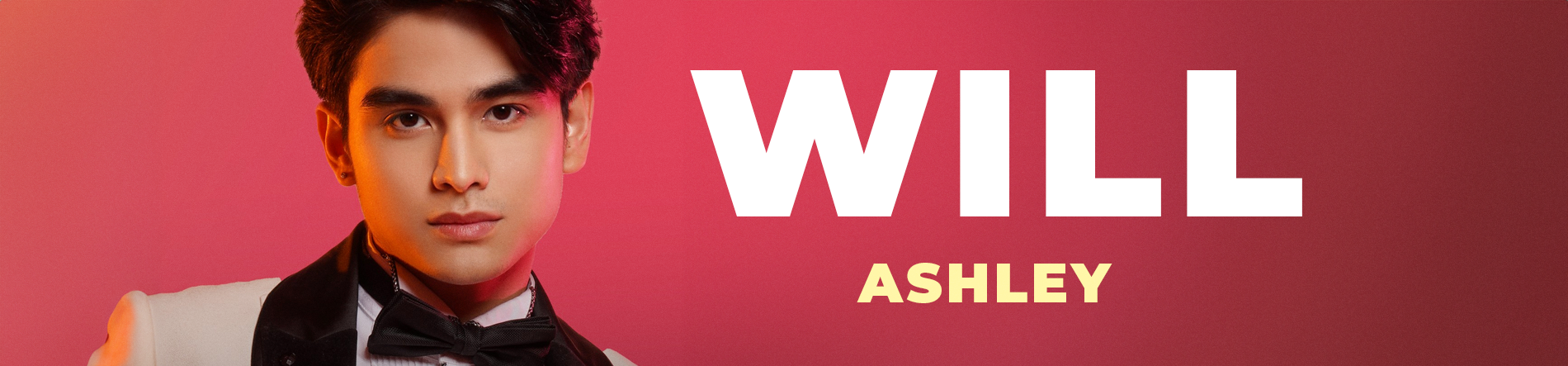 Will Ashley Desktop Banner
