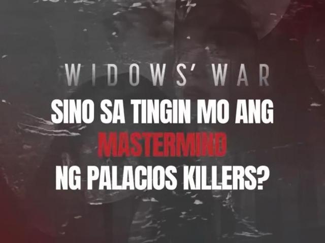 Widows War 