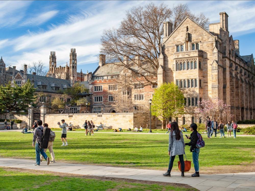 Yale University