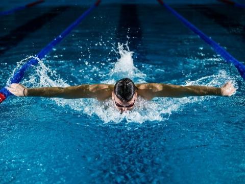 International Olympic Committee bans trans women from competing in female categories