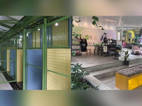 Interior design students upgrade PAWS shelter in Quezon City