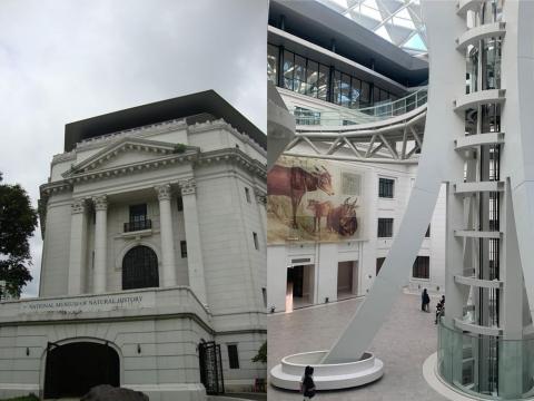 National Museum of the Philippines observes International Museum Day with activities