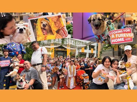 10 Animal welfare groups join mall chain's annual pet blessing
