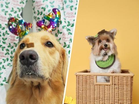 Sorry! Image not available at this time