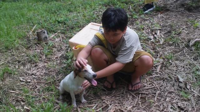 Euwenn Mikaell, batang may rabies sa 'Magpakailanman'