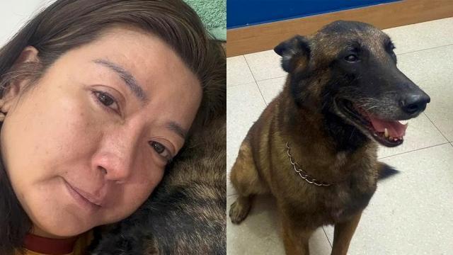 Kara David mourns pet dog's passing after kidney disease battle