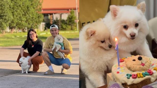 Shaira Diaz and EA Guzman celebrate their dog Curry's first birthday