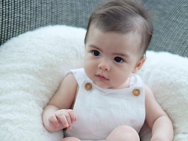 4 monthold Ziggy Dantes is winning hearts online