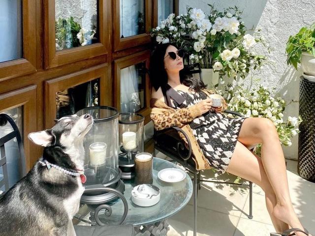 heart evangelista and pet dog