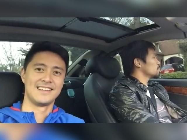 Jack Russell Terrier named Pacman