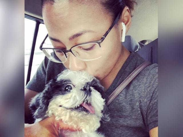 Pet dog of Jaya