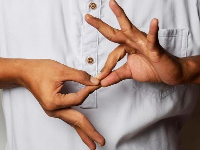 sing language role during covid 19