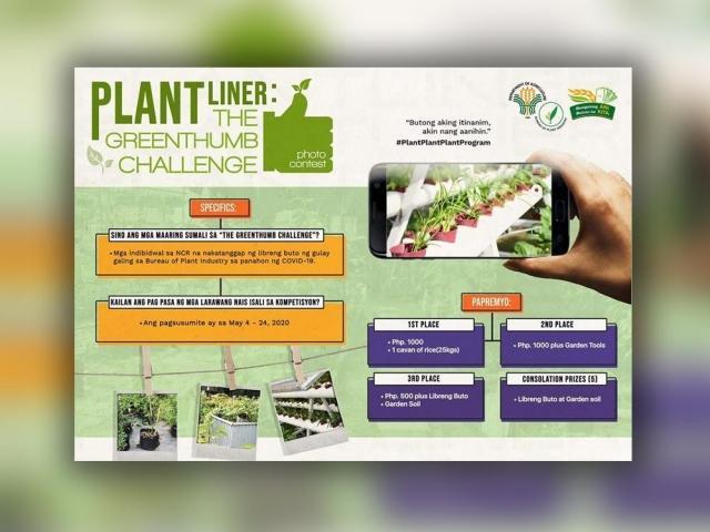 photo contest mechanics