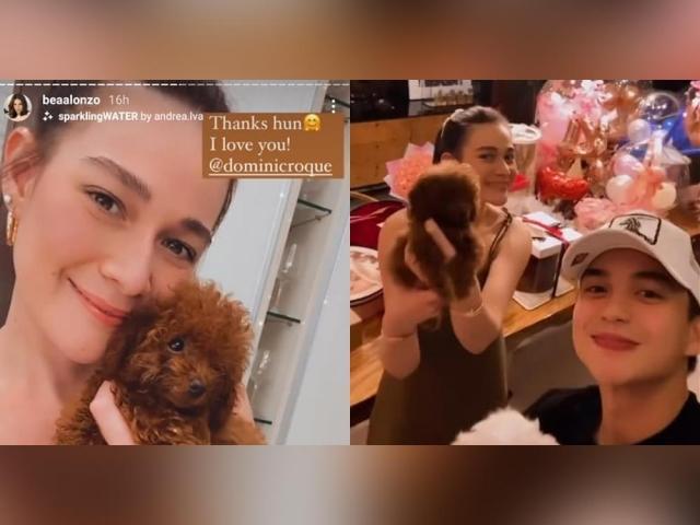 bea alonzo and dominic roque