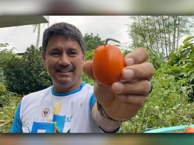 Richard Gomez nag adopt na rin sa backyard farming