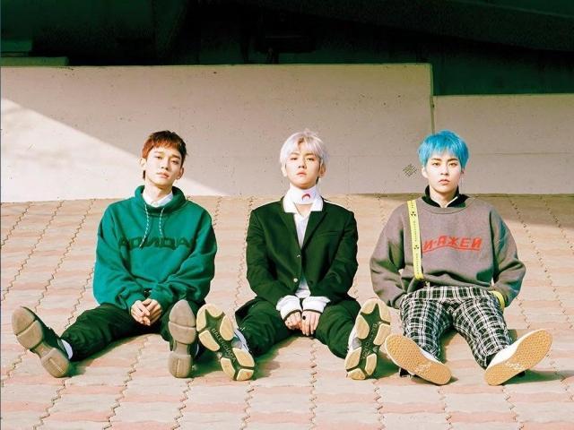 Chen Baekhyun and Xiumin 