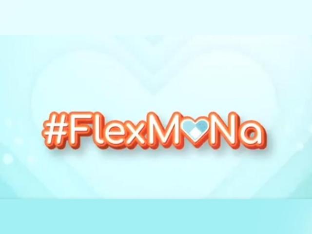 FlexMoNa