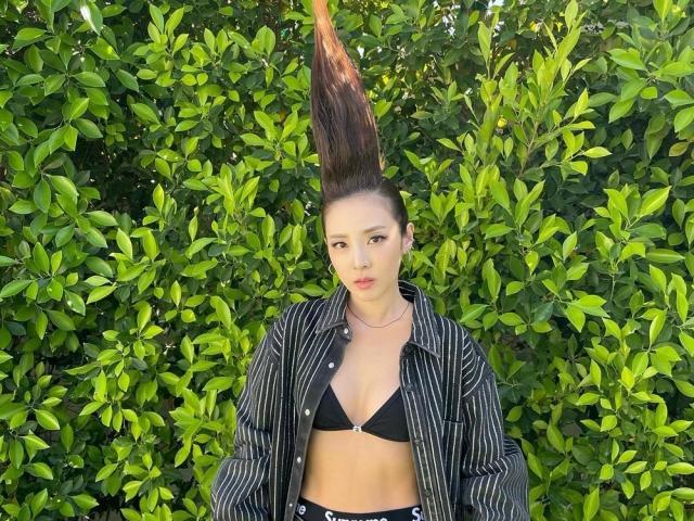 sandara park in coachella