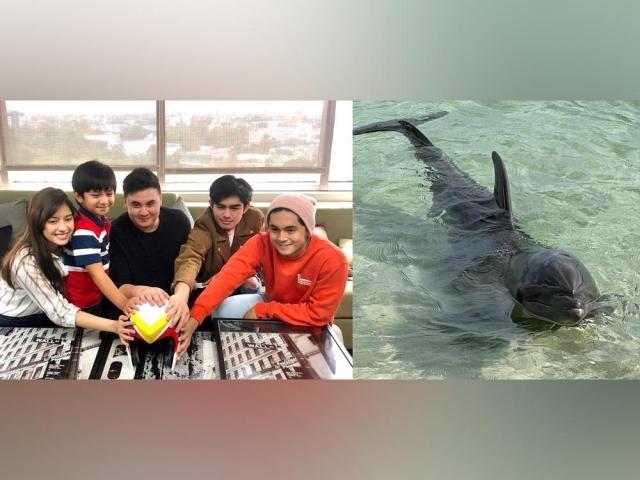 voltes v stars and dolphin nala