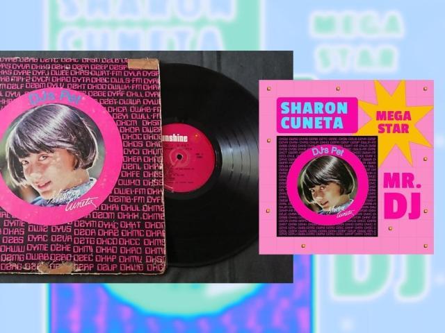 1978 copy of the DJs Pet and DJs Pet reissued album