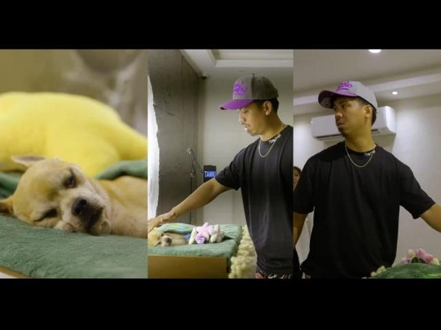 Cong TV family and pet dog