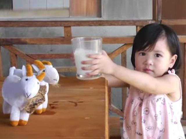 Goat milk for babies in Amazing Earth