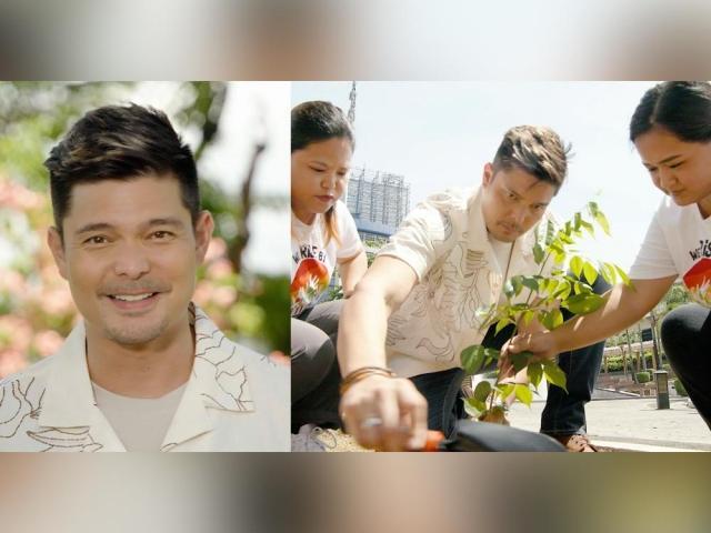 dingdong dantes