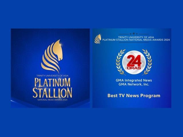 2024 Platinum Stallion Awards