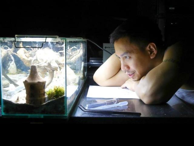 Mikey Bustos