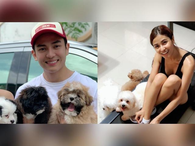 jak roberto and sanya lopez pet dogs