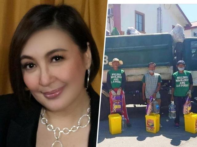 Sharon Cuneta and influencer Basel Manadil