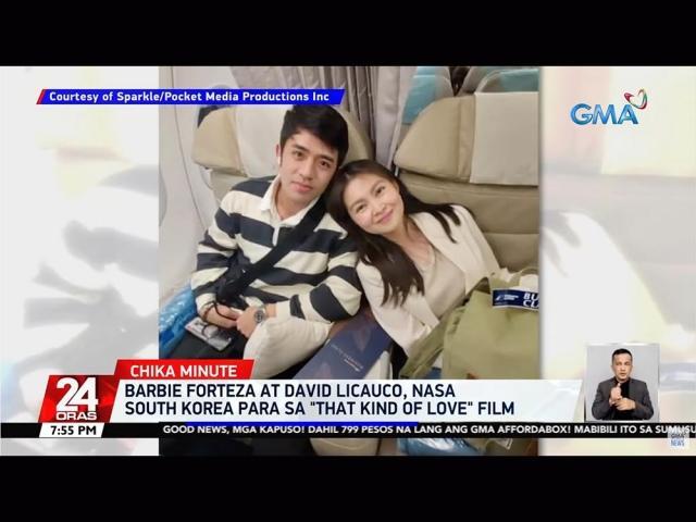Barbie Forteza David Licauco