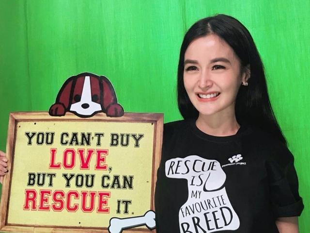 Kris Aquino promotes rescue dogs and aspins