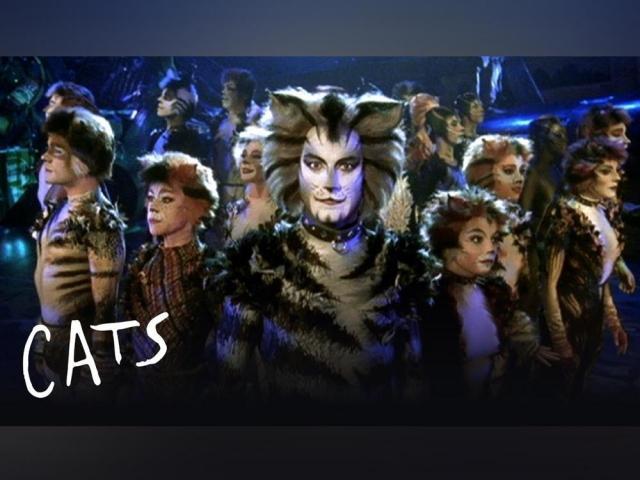 Cats poster