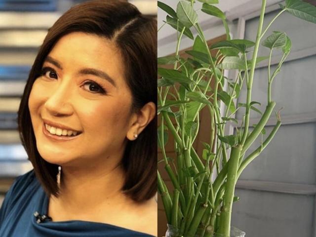 kara david and kangkong