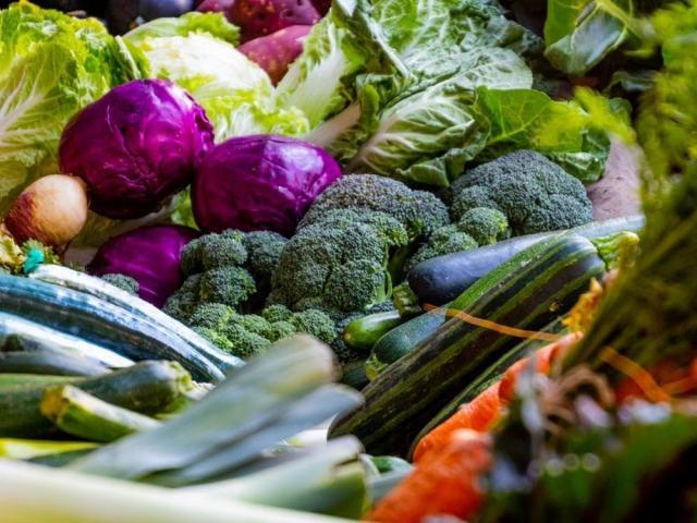 6 vegetables you can regrow from kitchen scraps according to DENR