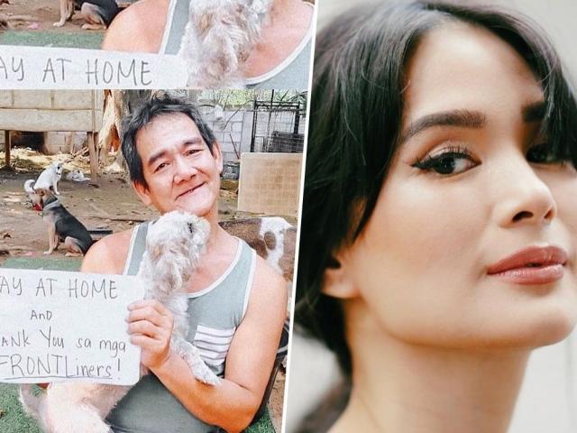 heart evangelista gives update about rescuer of her lost dog casper