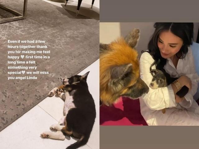Heart Evangelista mourns for her puppy Linda