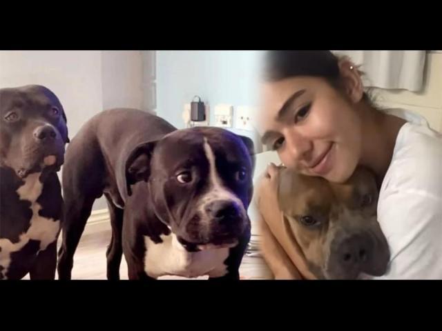 Angel Guardian, Marshall and Million