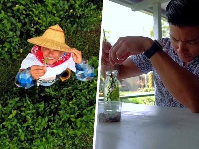 DIY Taiwan activities