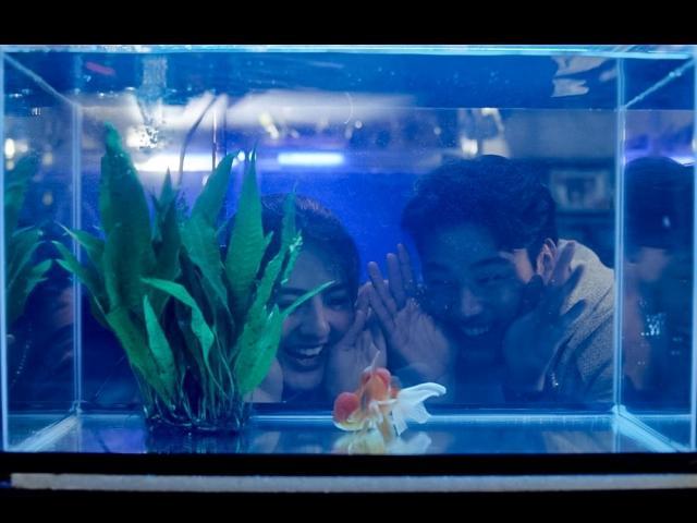 Cassy Legaspi and Michael Sager make a splash in 'Regal Studio Presents: Fishing For Love'