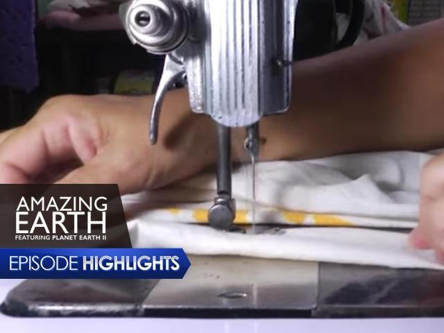 Amazing Earth January 26 episode