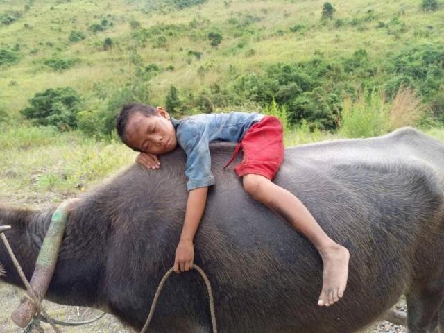 Balangiga Howling Wilderness scene