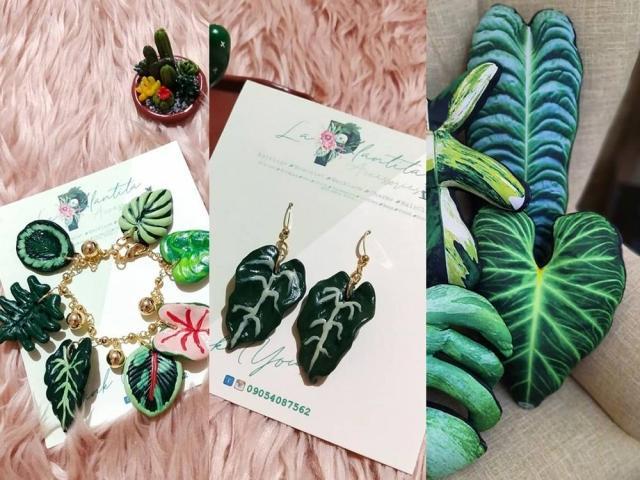 Christmas gift ideas for plantitos and plantitas