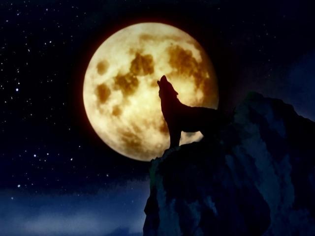 iBilib March 30 2025 episode