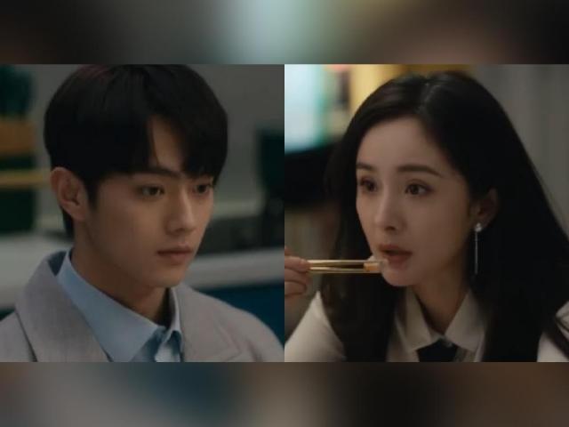 Xu Kai, Yang Mi, She and Her Perfect Husband