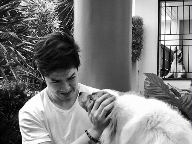 alden richards with dog pachuchi